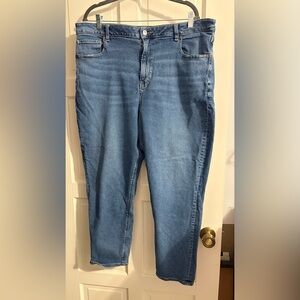 American Eagle Outfitters Women’s Plus Light Blue Straight Leg Jeans 20 Regular
